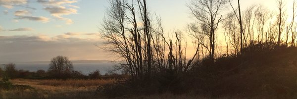 michaelong11 Profile Banner