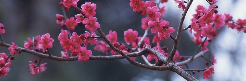 jess_1447's profile banner image