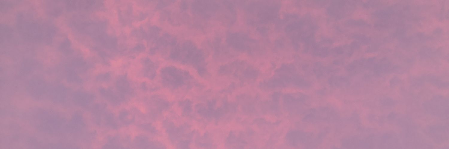 vlrdsg's profile banner image