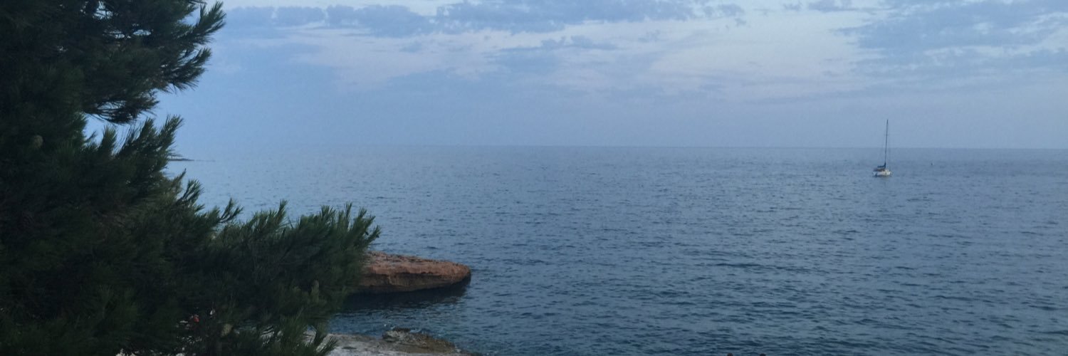 Blandine Franceschi banner