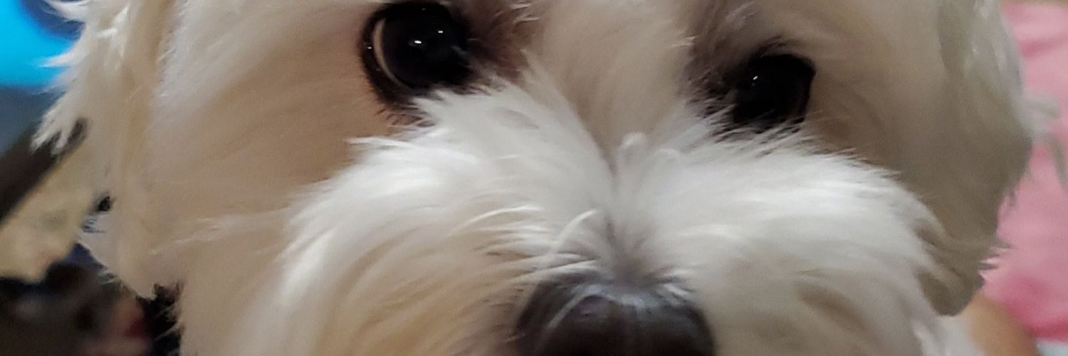 Ben C banner