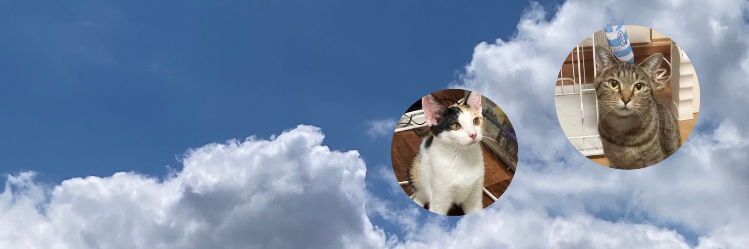 chibibim's profile banner image