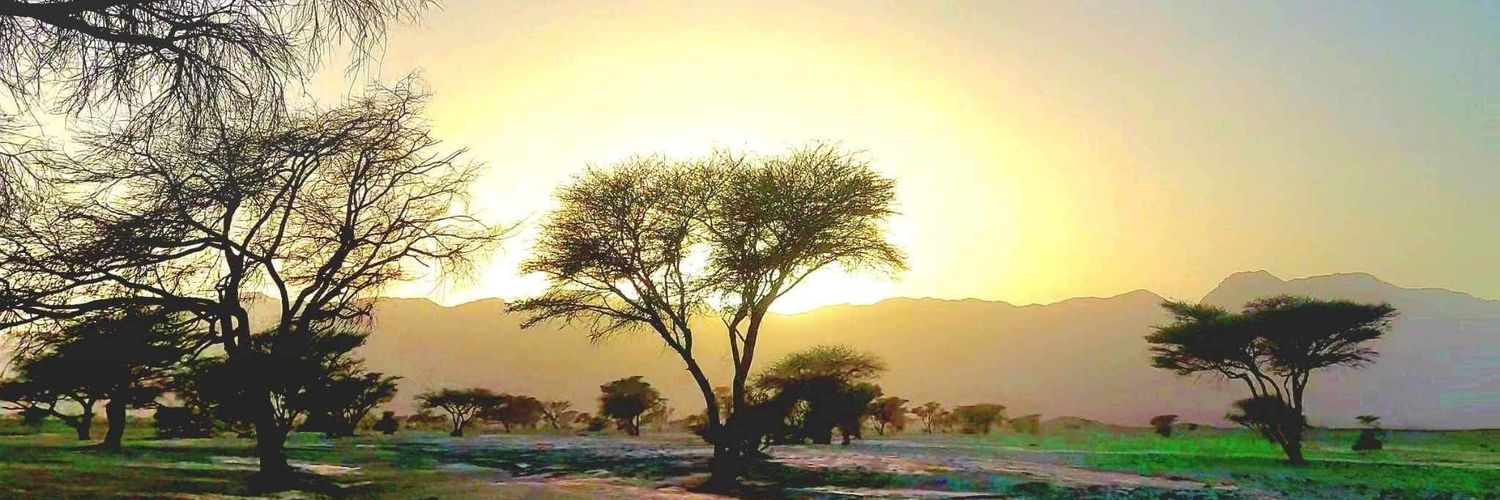 اللهجة السودانية Sudanese Dialect banner