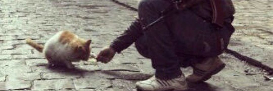 maaa19877's profile banner image