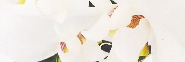 Fatma_Humaidan's profile banner image