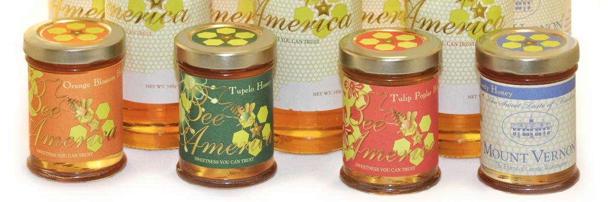 Bee-America banner