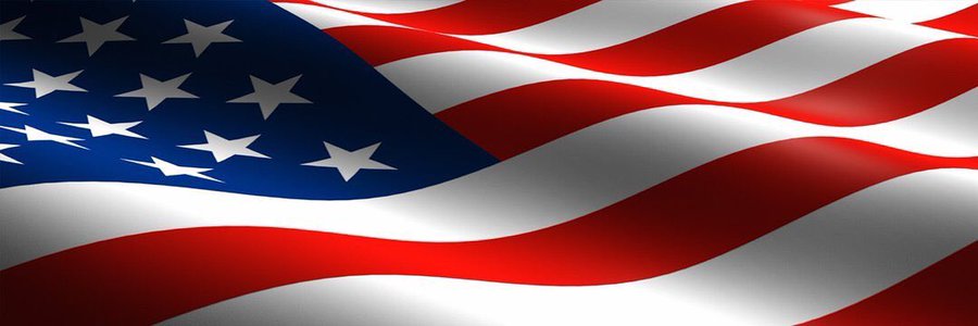 Nuclear Maga Lisa's banner