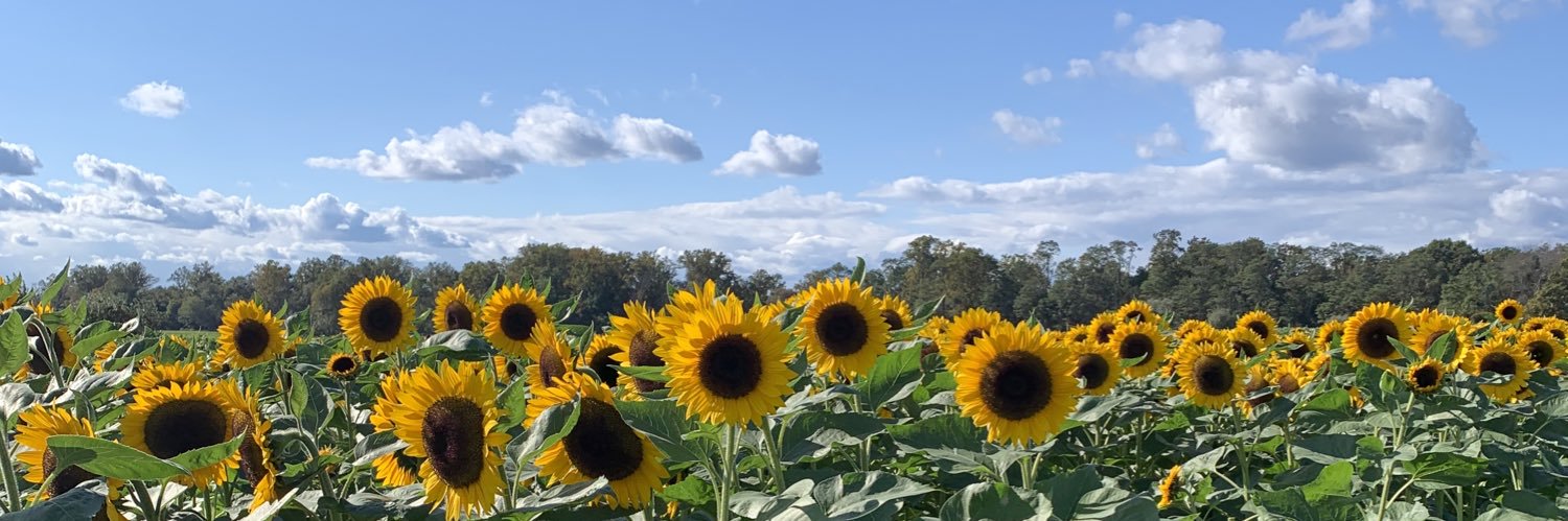 Carlyyyhall's profile banner image