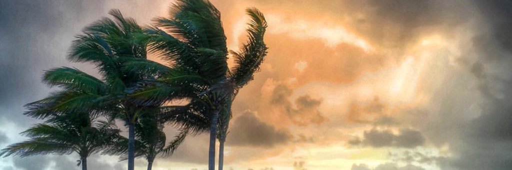 MJKH55's profile banner image