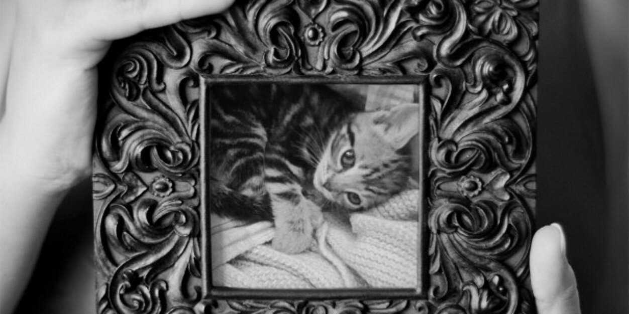 theresaaa145's profile banner image