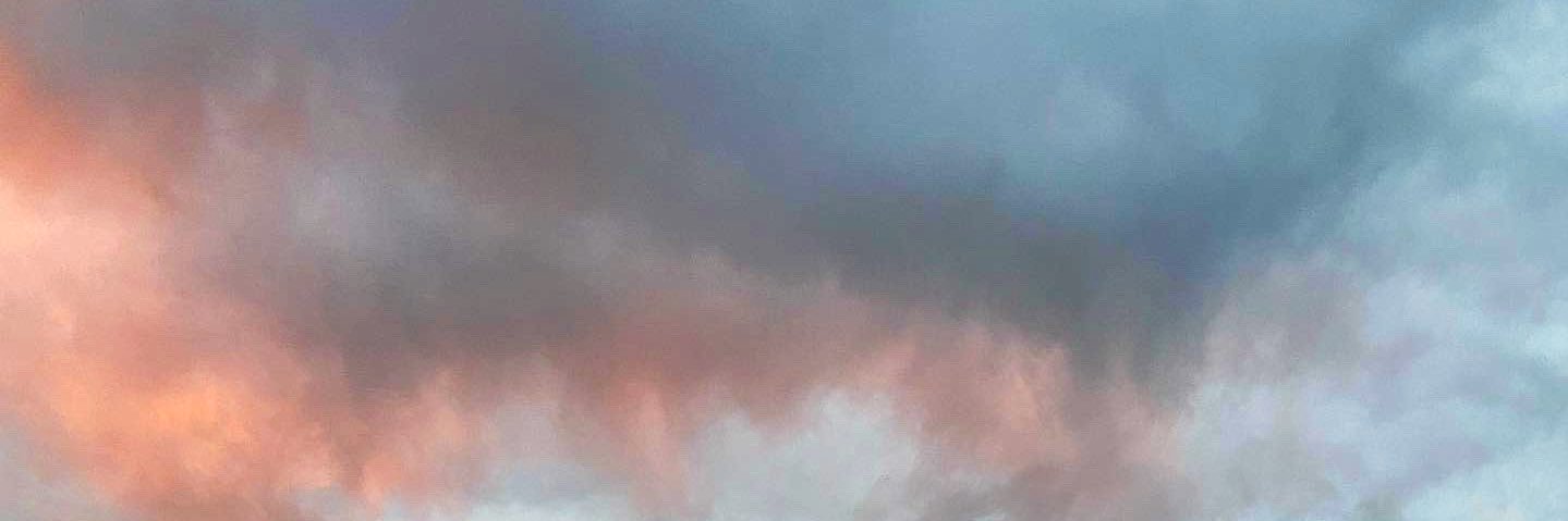 lizzieflightt's profile banner image