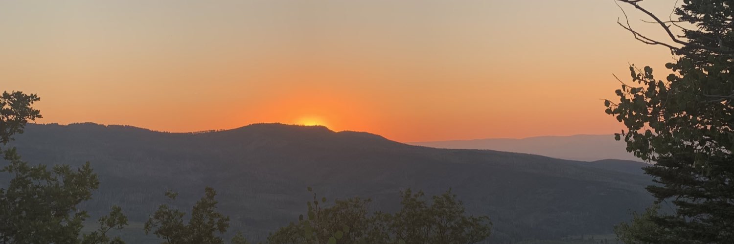 TheTreeSapp's profile banner image