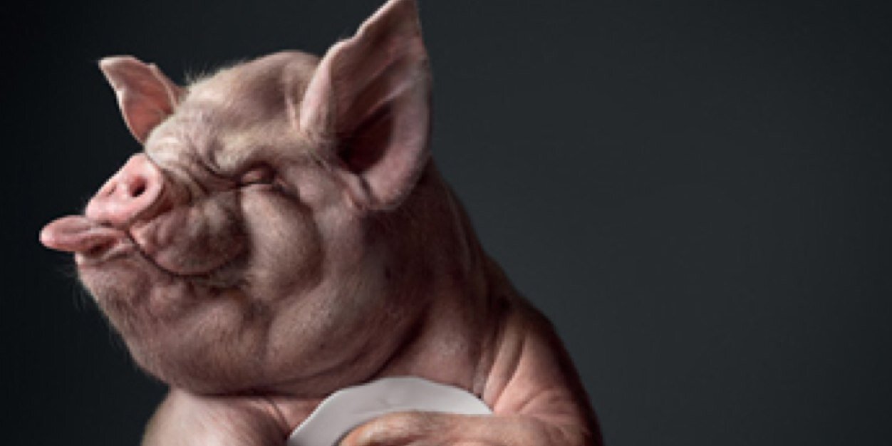 chefatticus's profile banner image
