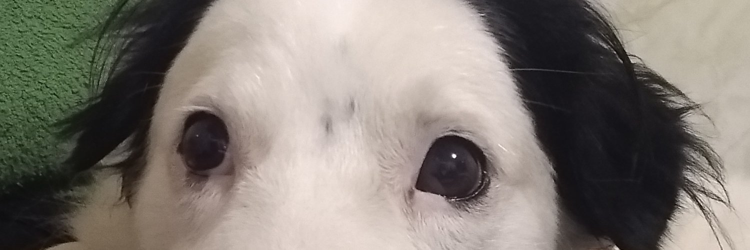 eldercunha's profile banner image