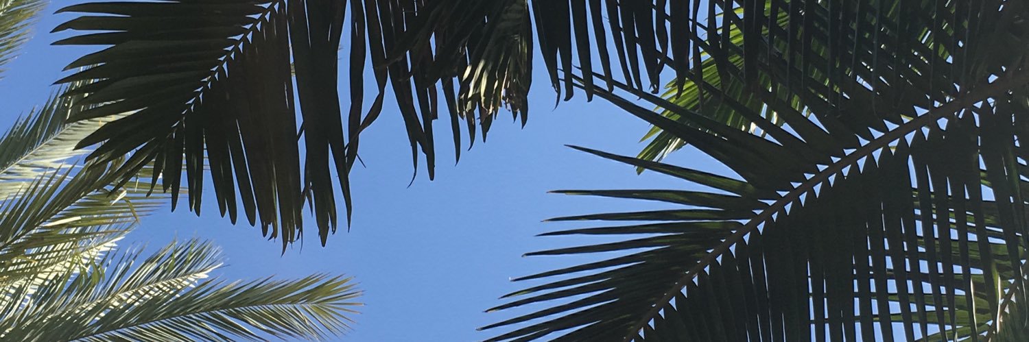 ranika's profile banner image