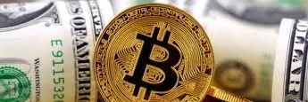 cryptotore's profile banner image