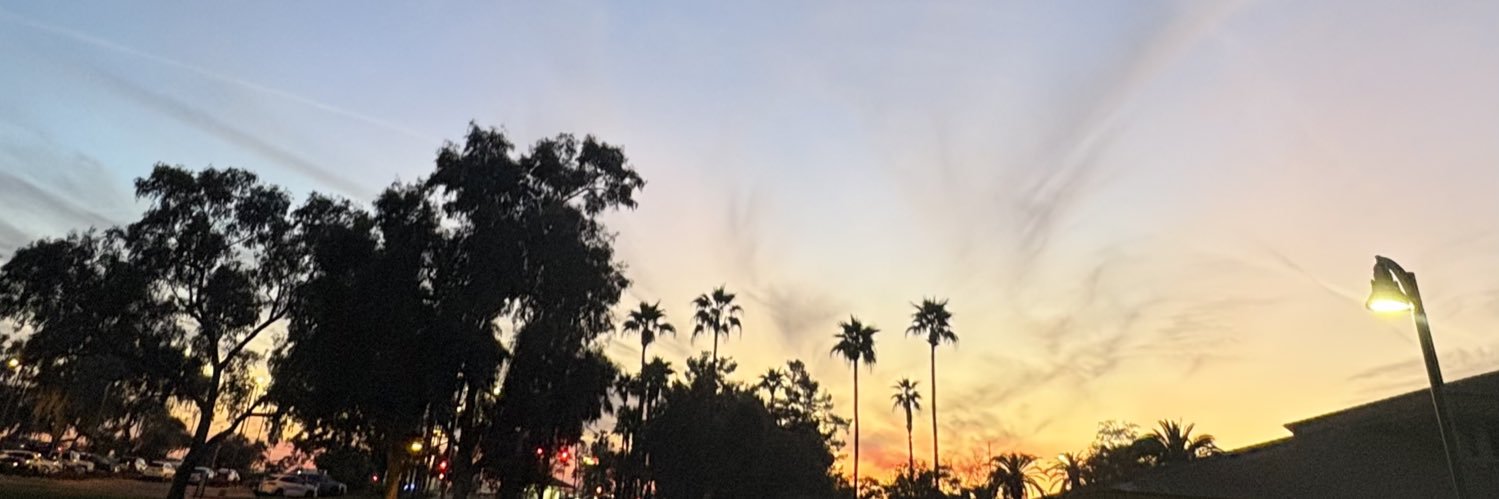 domcdenny's profile banner image