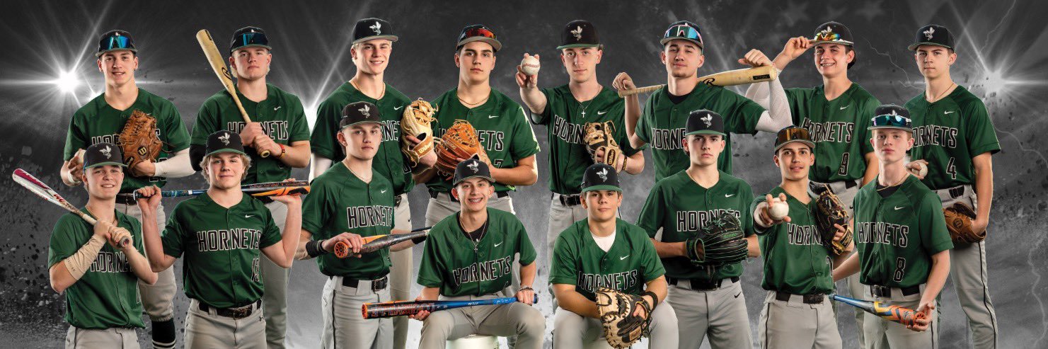 Williamston Baseball banner