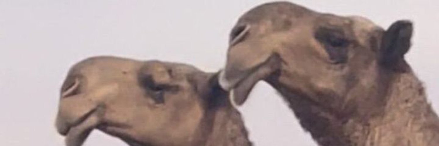 anass_305's profile banner image