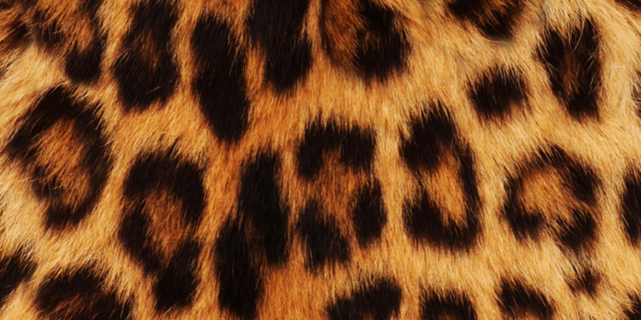 kikis1585's profile banner image