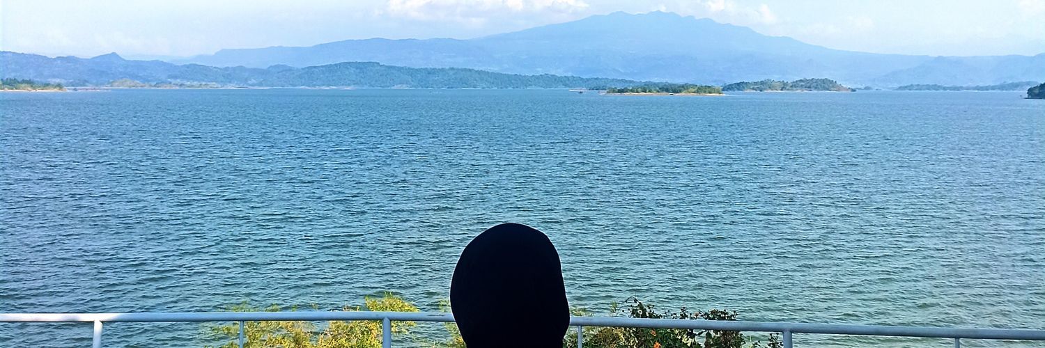 matataurus's profile banner image