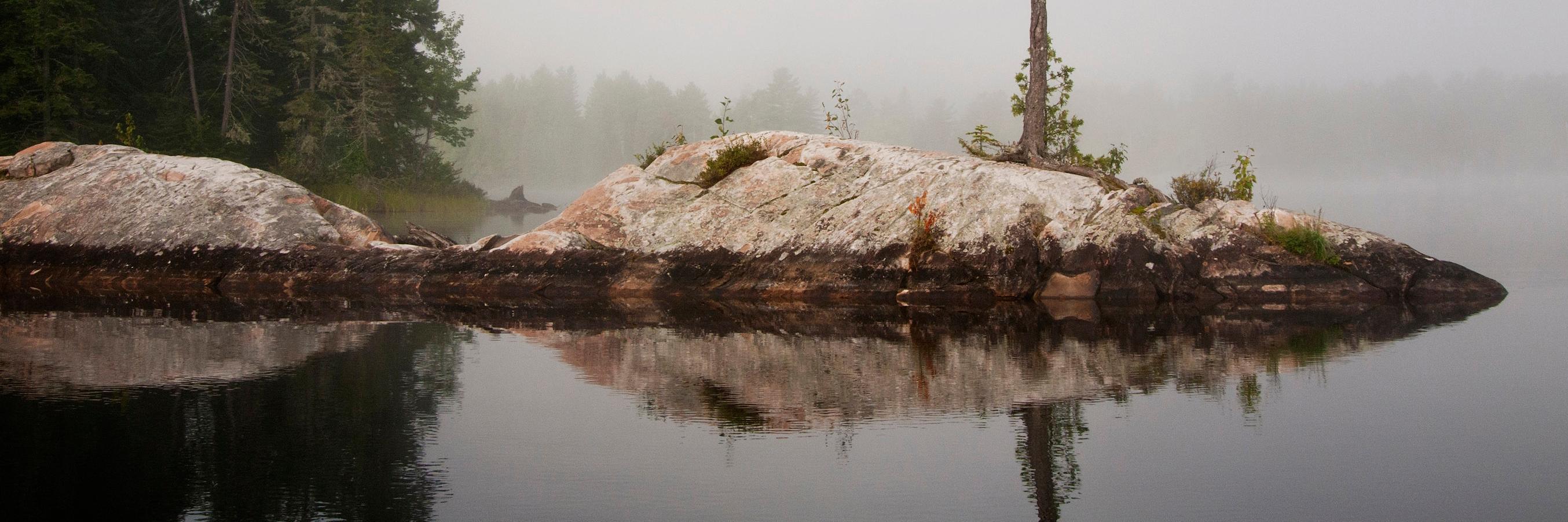 Muskoka Roastery banner
