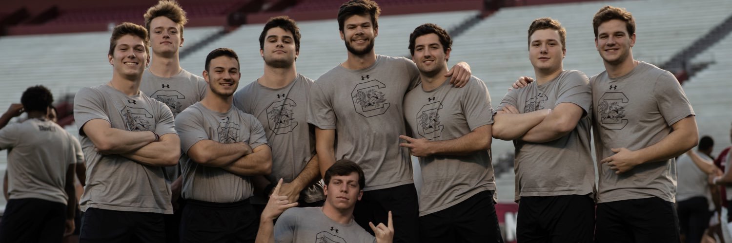 Gamecock Specialists banner