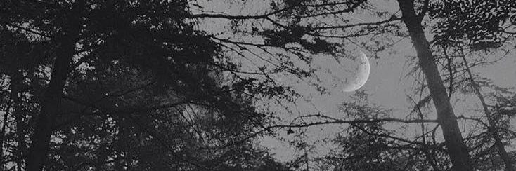 K__9i's profile banner image