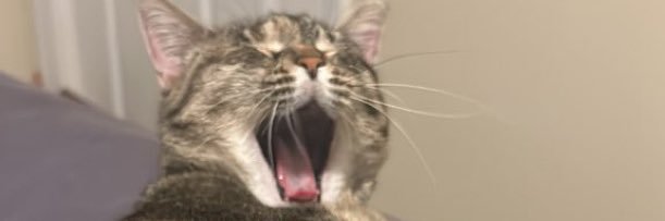 Jerilyn 👩🏻‍🦰 banner