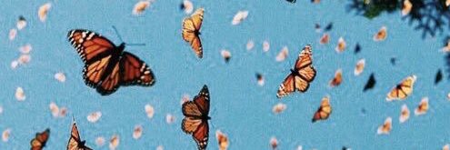 maddiegaughan_'s profile banner image