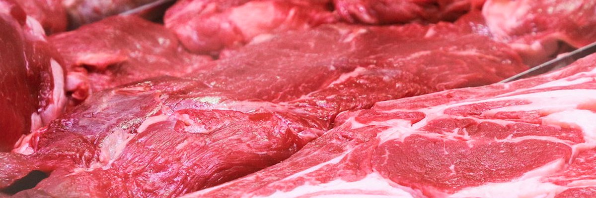 LooseMeat's profile banner image
