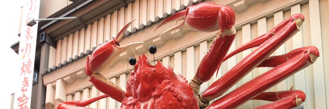 ttttanaca's profile banner image