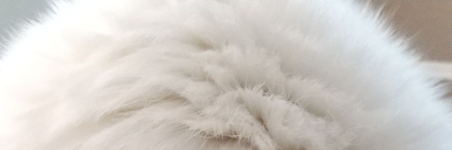pompomdende's profile banner image