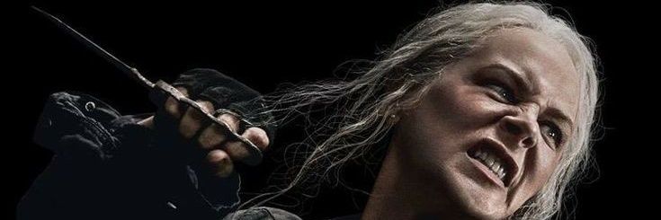 The Book of Carol banner