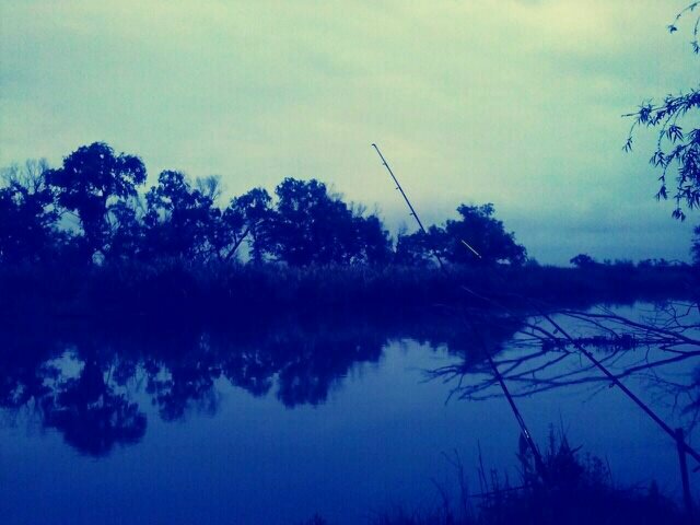 cariocanaranja's profile banner image