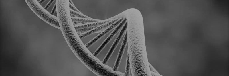 Masked Yapper banner