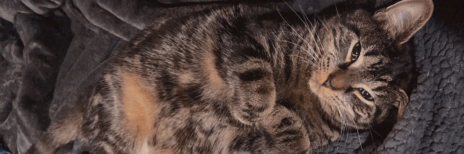 GracePtacek's profile banner image