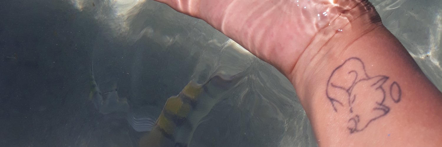 karina ferrer🧙‍♀️🥂🚩 banner