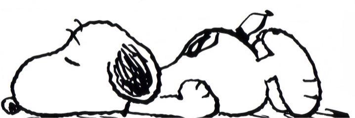 nooon627's profile banner image