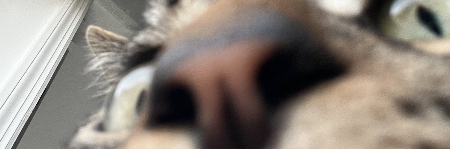 alexrippman's profile banner image