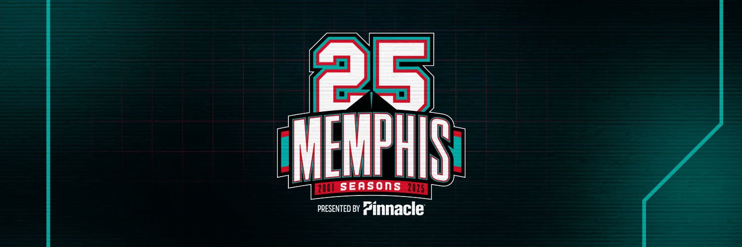 Memphis Grizzlies banner