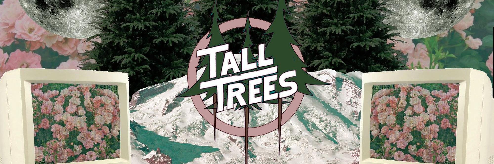 TallTrees_Music's profile banner image