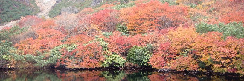 みっちょ(わか嫁） banner