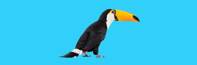 Atornicz's profile banner image
