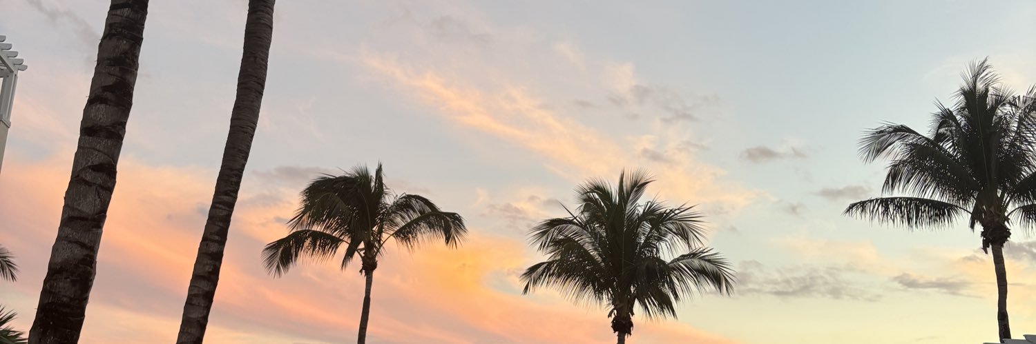 sophiemuggia333's profile banner image