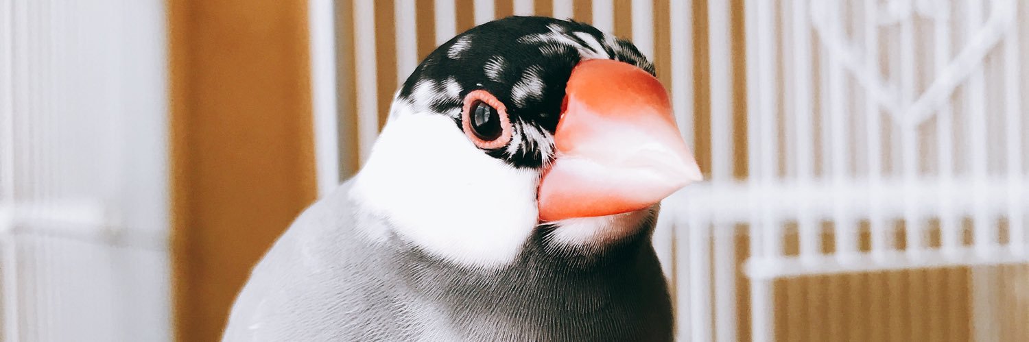nn_sssss's profile banner image