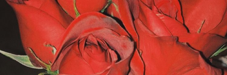 caitlynn137's profile banner image