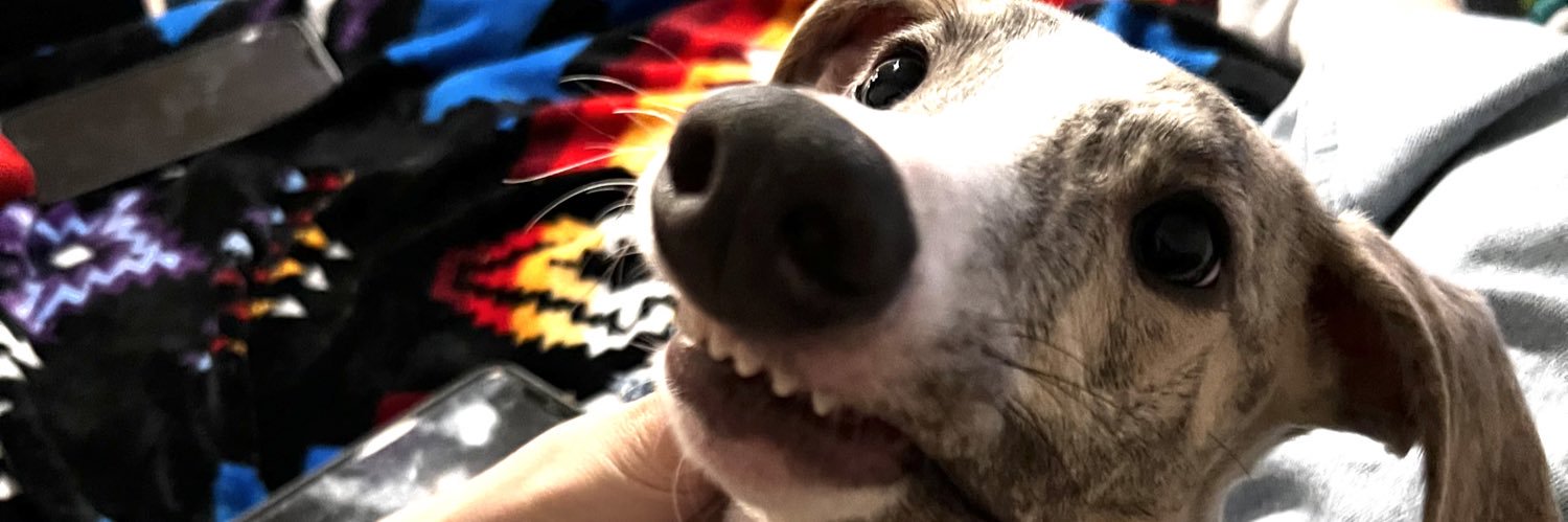 zckrybshp's profile banner image