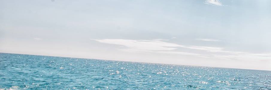 Karii....bella banner