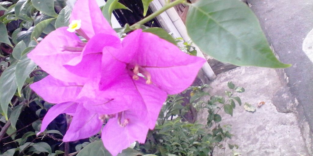 aditgemilang's profile banner image